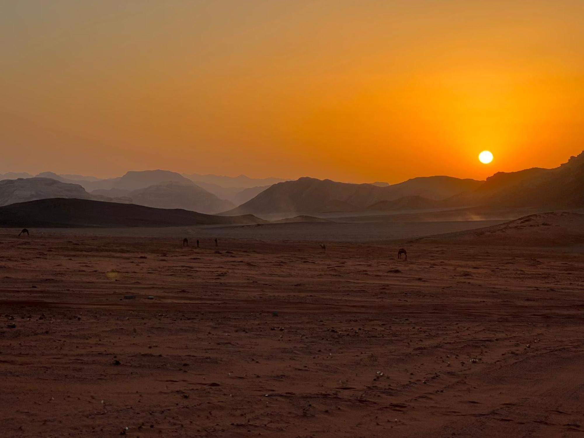Wadi Rum Bedouin Experience Luaran gambar